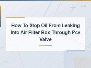 How to Stop Oil From Leaking Into Air Filter Box Through Pcv Valve