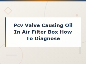 Pcv Valve Causing Oil in Air Filter Box: How to Diagnose and Fix